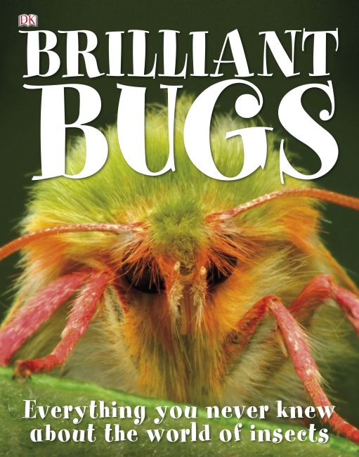 Brilliant Bugs eBook cover of Brilliant Bugs