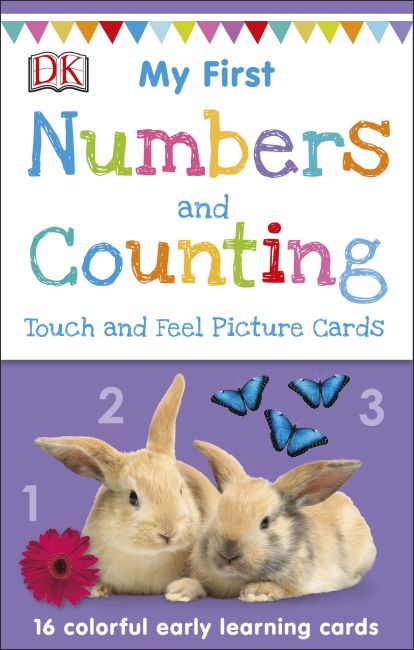 My First Numbers and Counting Cards cover of My First Numbers and Counting