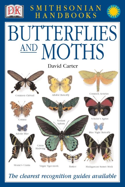 Handbooks: Butterflies & Moths Flexibound cover of Handbooks: Butterflies & Moths