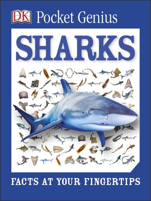 Pocket Genius: Sharks Paperback cover of Pocket Genius: Sharks