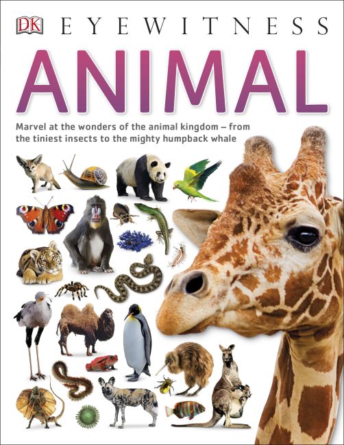 Paperback cover of Animal