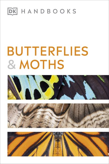 Flexibound cover of Butterflies and Moths