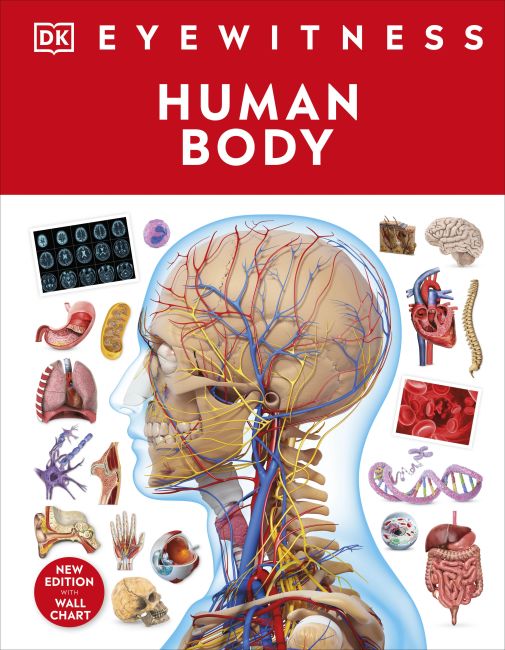 Human Body Hardback cover of Human Body