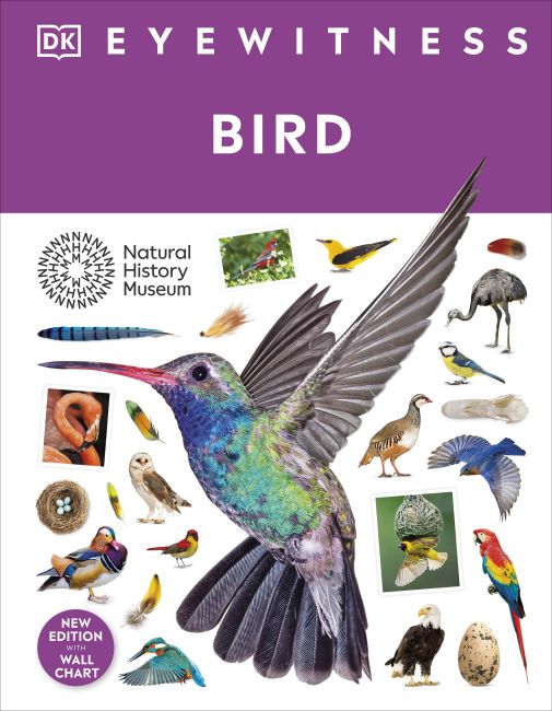Hardback cover of Bird