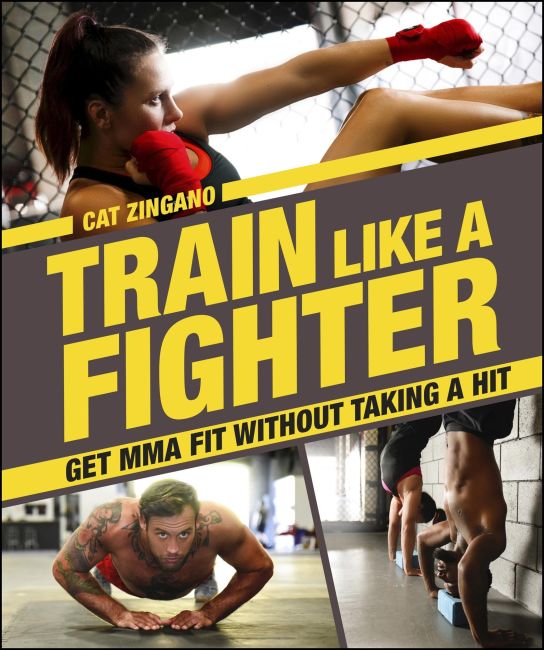 Train Like a Fighter eBook cover of Train Like a Fighter