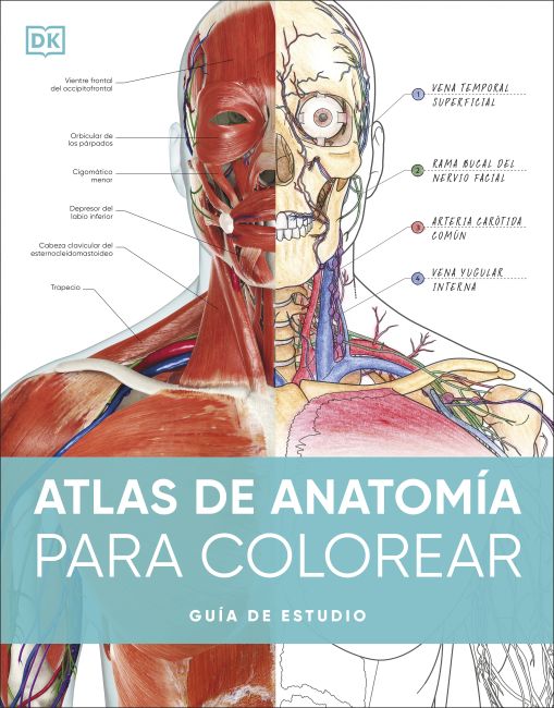 Atlas de anatomía para colorear (The Human Body Coloring Book) Paperback cover of Atlas de anatomía para colorear (The Human Body Coloring Book)