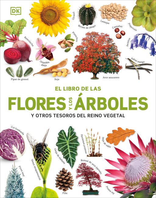 El Libro de las flores y los árboles (Our World in Pictures: Trees, Leaves, Flowers & Seeds) Hardback cover of El Libro de las flores y los árboles (Our World in Pictures: Trees, Leaves, Flowers & Seeds)
