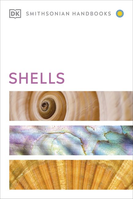 Shells Paperback cover of Shells