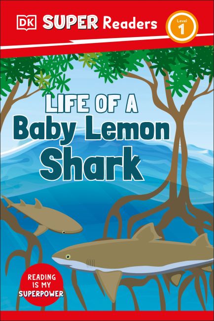 DK Super Readers Level 1 Life of a Baby Lemon Shark Hardback cover of DK Super Readers Level 1 Life of a Baby Lemon Shark