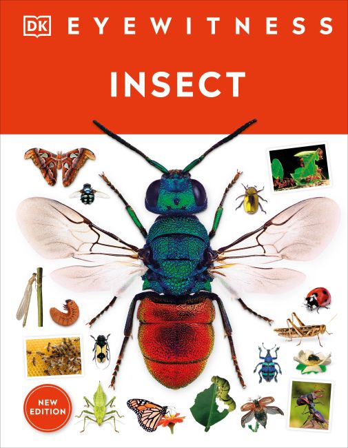 Insect Hardback cover of Insect