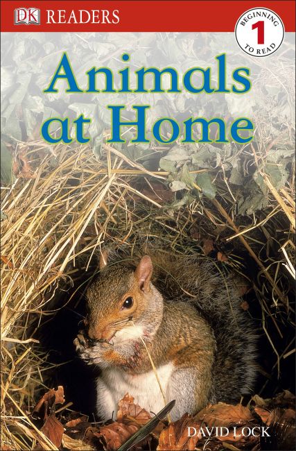 Paperback cover of DK Readers L1: Animals at Home