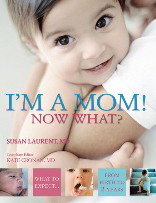 eBook cover of I'm a Mom!  Now What?