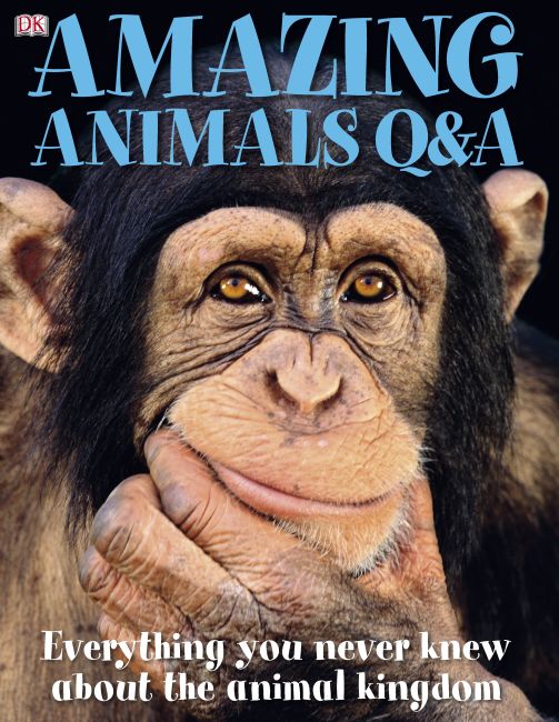 eBook cover of Amazing Animals Q&A