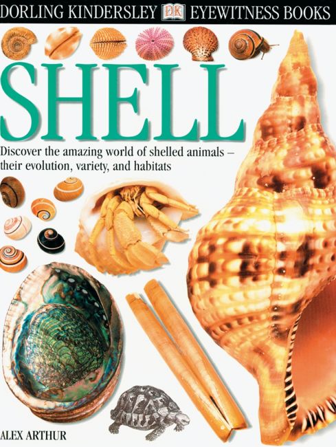 eBook cover of DK Eyewitness Books: Shell