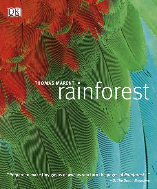 eBook cover of Rainforest