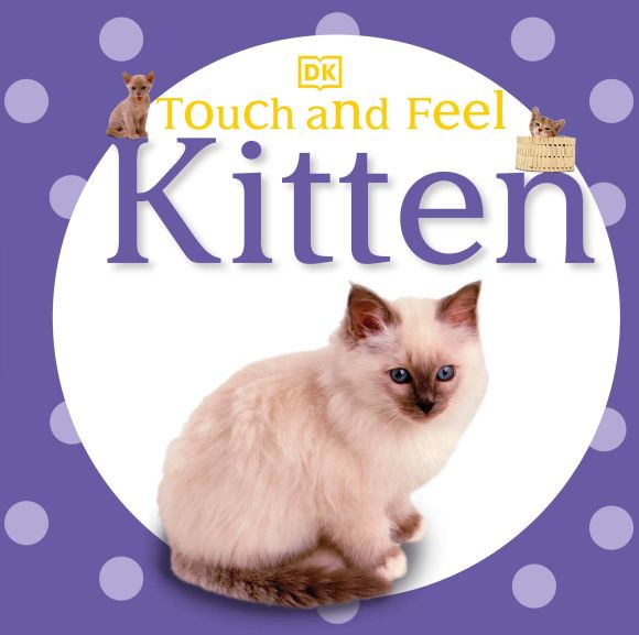 Board book cover of Touch and Feel: Kitten