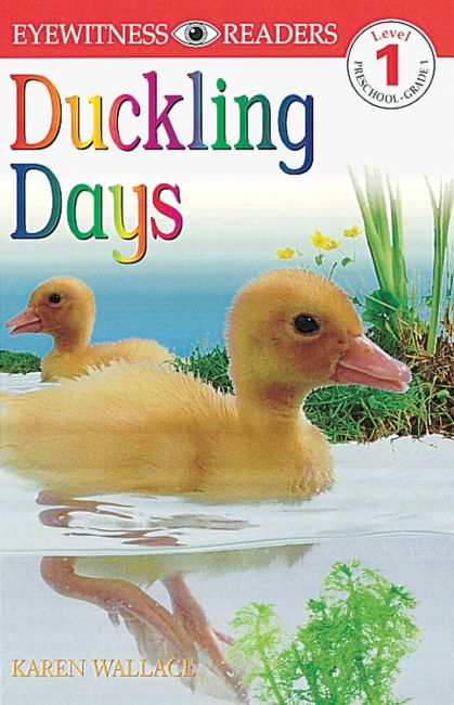 Paperback cover of DK Readers L1: Duckling Days