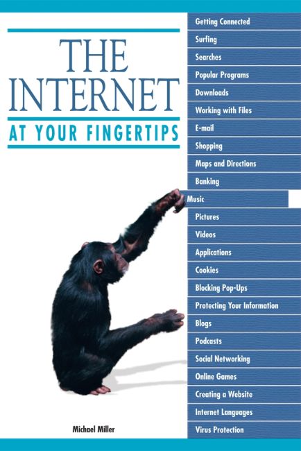 eBook cover of The Internet at Your Fingertips