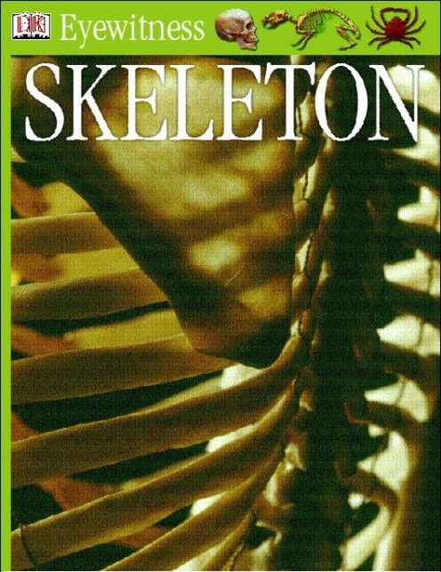 eBook cover of Eyewitness GUides: Skeleton