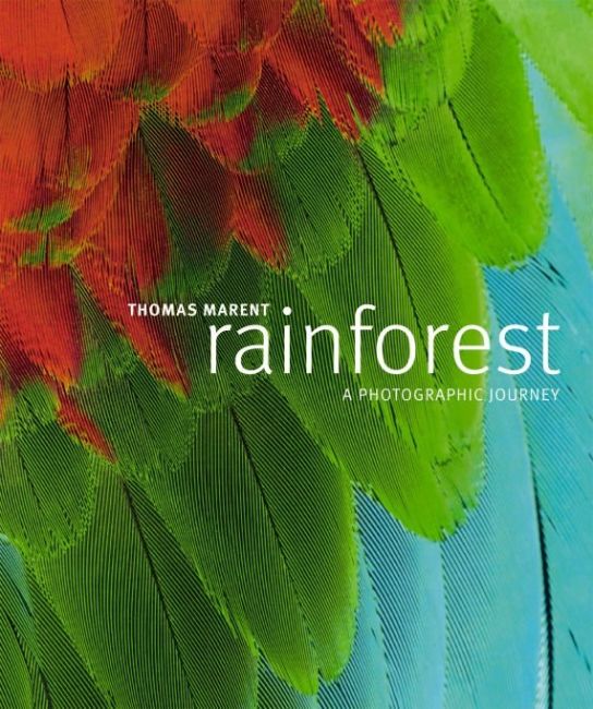 eBook cover of Rainforest