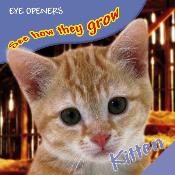 eBook cover of Kitten