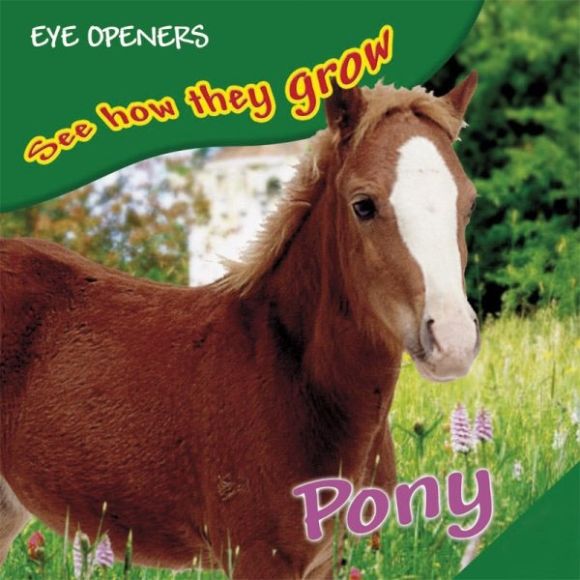 eBook cover of Pony