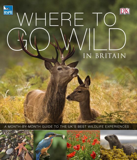 eBook cover of RSPB Where To Go Wild in Britain