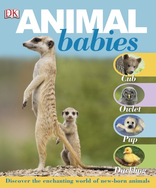 eBook cover of Animal babies