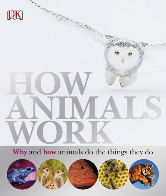 eBook cover of How Animals Work