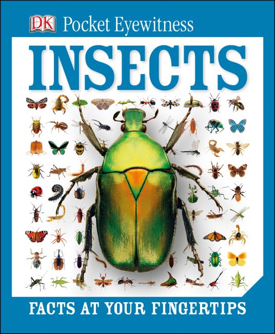 eBook cover of DK Pocket Eyewitness Insects