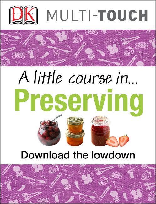 A Little Course in Preserving eBook cover of A Little Course in Preserving