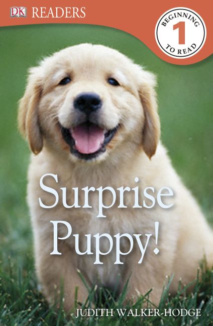 eBook cover of Surprise Puppy!