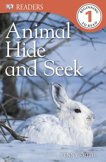 eBook cover of Animal Hide and Seek