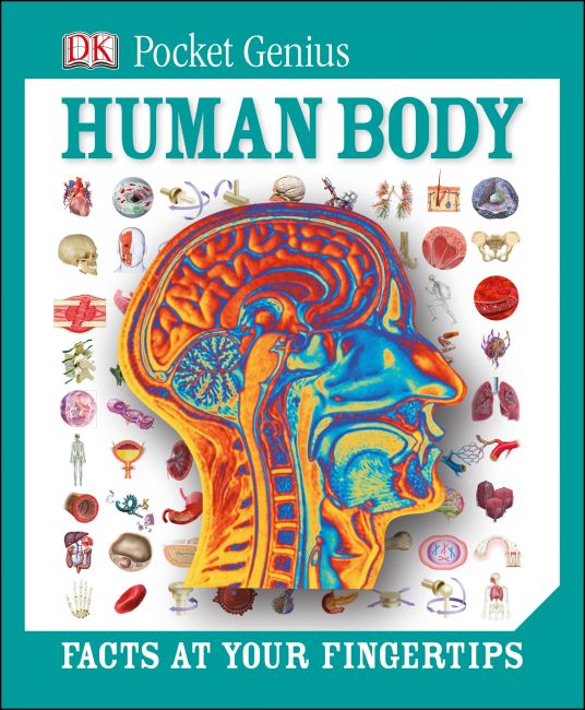 Hardback cover of Pocket Genius: Human Body