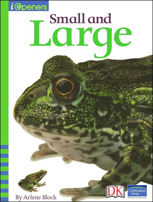 eBook cover of iOpener: Small and Large