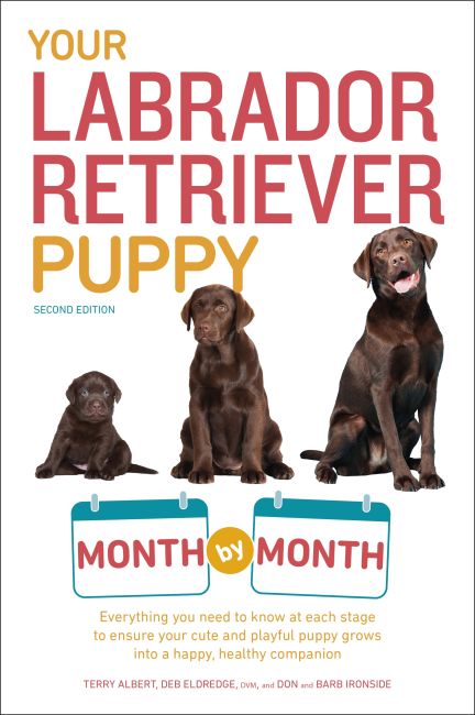 Paperback cover of Your Labrador Retriever Puppy Month by Month, 2nd Edition