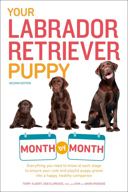 Your Labrador Retriever Puppy Month by Month, 2nd Edition Paperback cover of Your Labrador Retriever Puppy Month by Month, 2nd Edition
