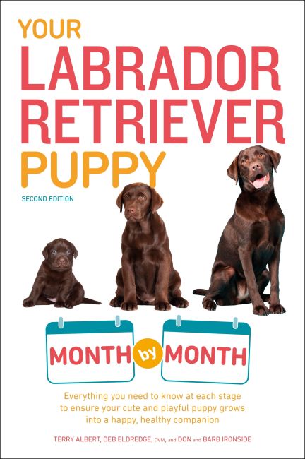 Paperback cover of Your Labrador Retriever Puppy Month by Month, 2nd Edition