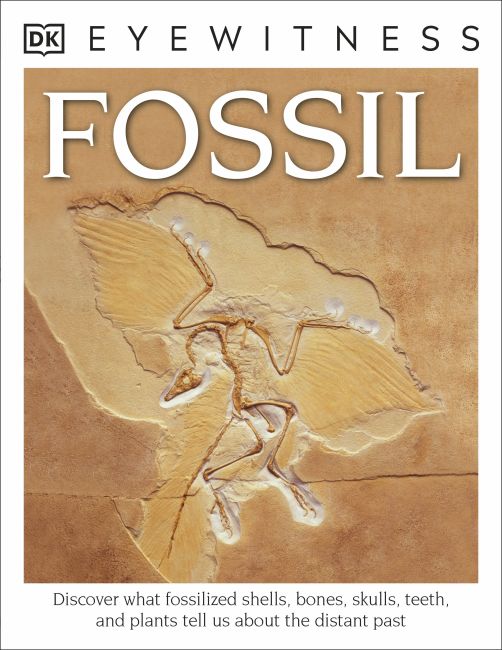 Paperback cover of DK Eyewitness Books: Fossil