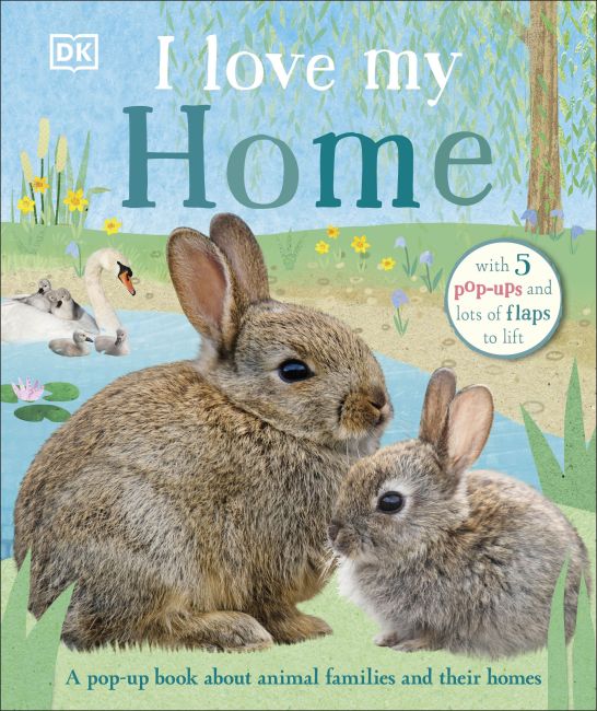 Board book cover of I Love My Home