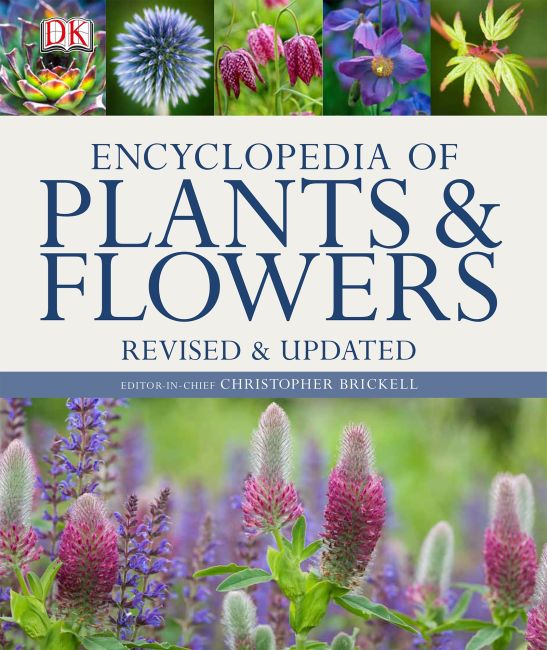 Hardback cover of Encyclopedia of Plants and Flowers