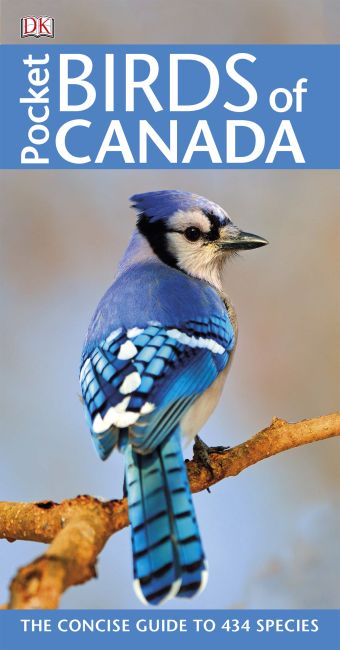 Paperback cover of Pocket Birds of Canada