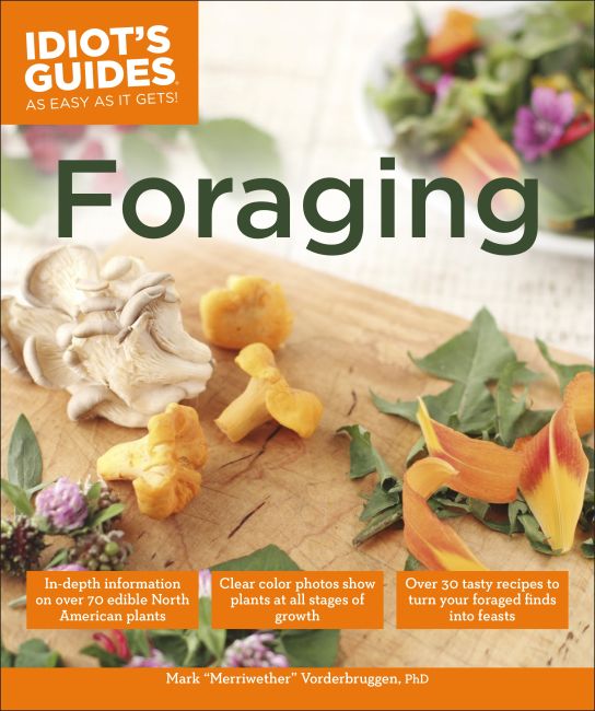 Paperback cover of Foraging