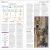 The Shakespeare Book Preview 4