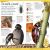 First Animal Encyclopedia Preview 4