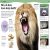 Do You Know About Animals? Preview 1