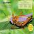 Bugs Ultimate Sticker Book Preview 1