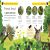 Forest Life and Woodland Creatures Preview 3