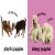 Baby Touch and Feel: Puppies Preview 2