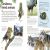 Woodland and Forest Preview 1